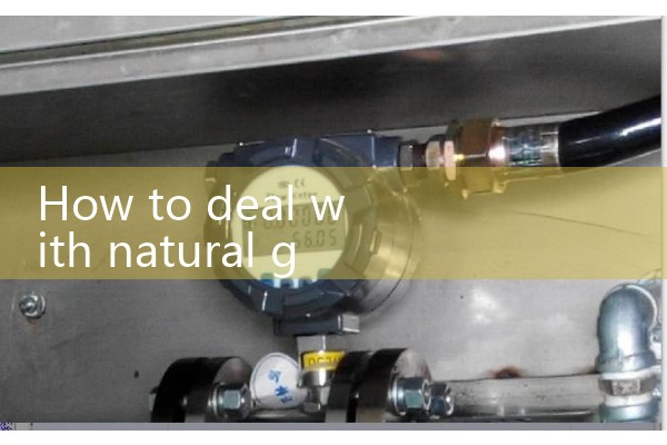 Flow meter does not count